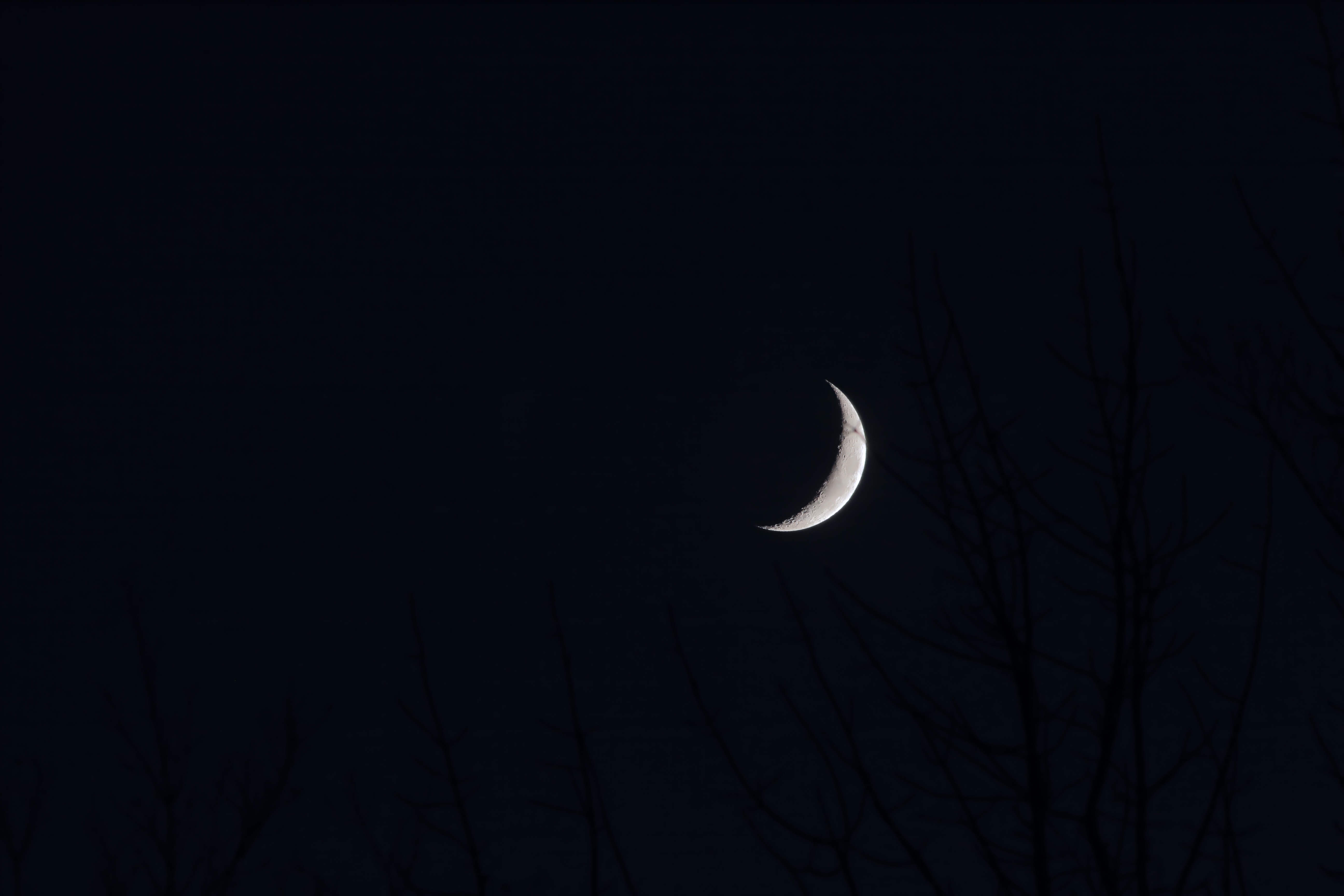 Crescent moon (4 days past new moon) above Hermon, ME  Dec 16, 2023 - Jeff Cunningham